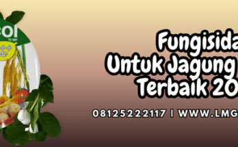 fungisida,jagung,jagung manis,jual fungisida,lmga agro