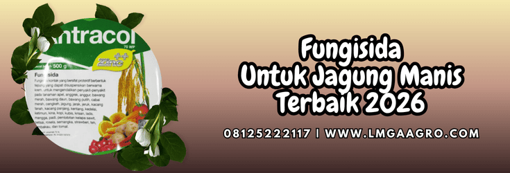 fungisida,jagung,jagung manis,jual fungisida,lmga agro