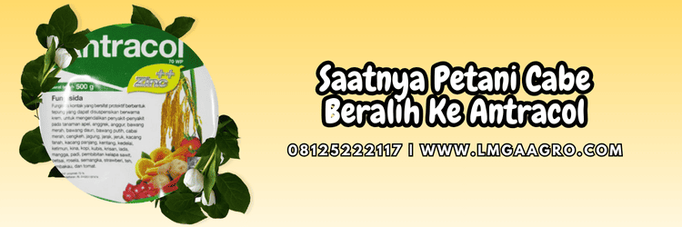 jual,murah,terjangkau,toko pertanian terdekat,lmga agro