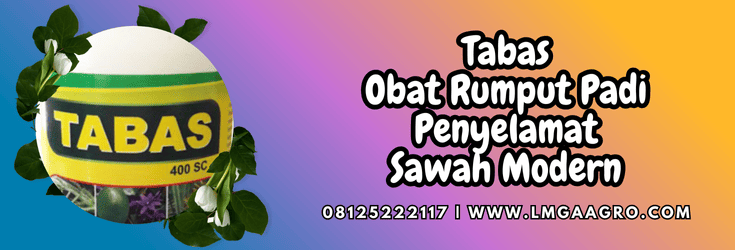 tabas obat rumput padi,tabas,obat,rumput,padi,lmga agro