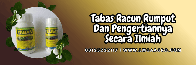 pestisida,herbisida,pestisida jenis herbisida,gulma,lmga agro