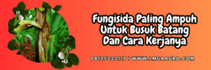 pestisida,pestisida jenis fungisida,jamur,cendawan,lmga agro