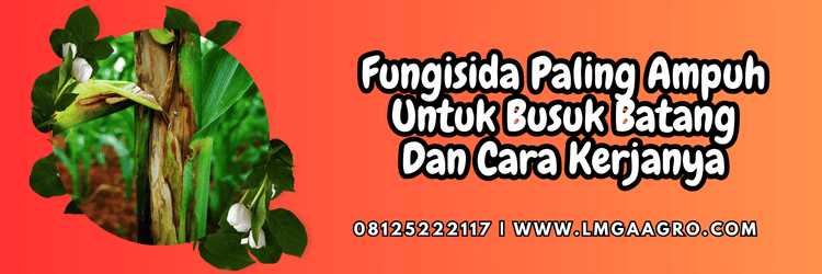 pestisida,pestisida jenis fungisida,jamur,cendawan,lmga agro