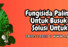 fungisida paling ampuh untuk busuk batang,fungisida,penyakit,busuk batang,lmga agro