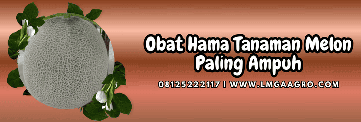 obat hama tanaman melon,obat,hama,tanaman,melon,lmga agro