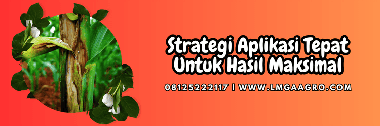 strategi,aplikasi,pengaplikasian,hasil,maksimal,lmga agro