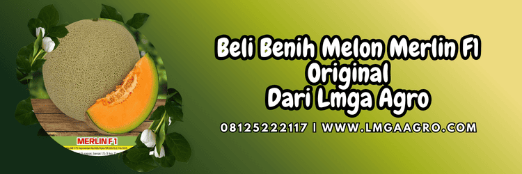 jual,murah,terjangkau,toko pertanian terdekat,lmga agro