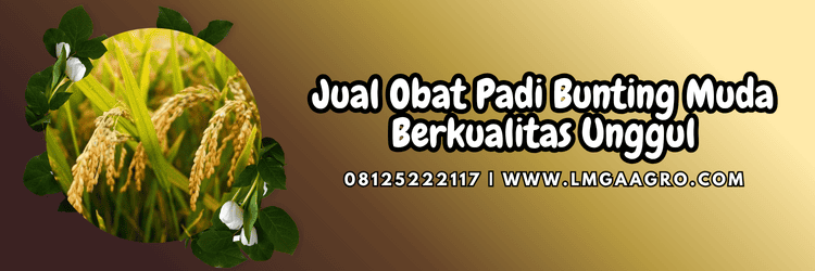 jual,murah,terjangkau,toko pertanian terdekat,lmga agro