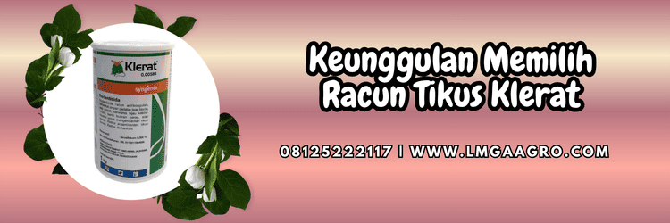 syngenta,pestisida jenis rodentisida,hama,syngenta,klerat syngenta,lmga agro