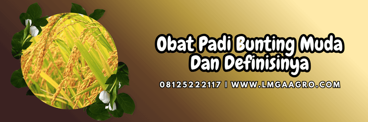 obat padi,padi bunting,pestisida,pertanian,lmga agro