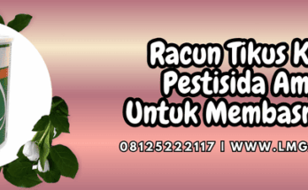 racun tikus klerat,racun,tikus,klerat,lmga agro