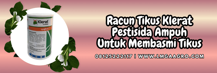 racun tikus klerat,racun,tikus,klerat,lmga agro