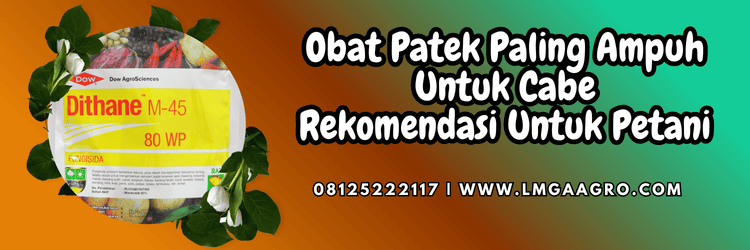 pestisida,fungisida,pestisida  jenis fungisida,petani,lmga agro