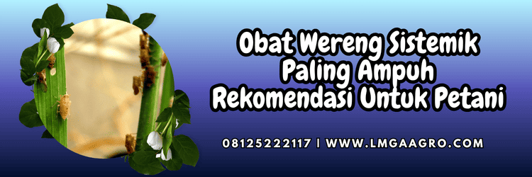 pestisida,insektisida,pestisida jenis insektisida,hama,hama wereng,lmga agro