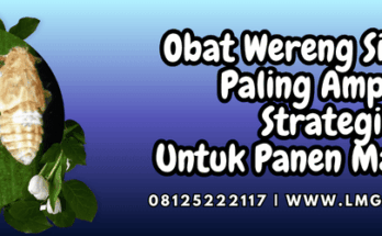 obat wereng sistemik paling ampuh,obat,wereng,sistemik,lmga agro