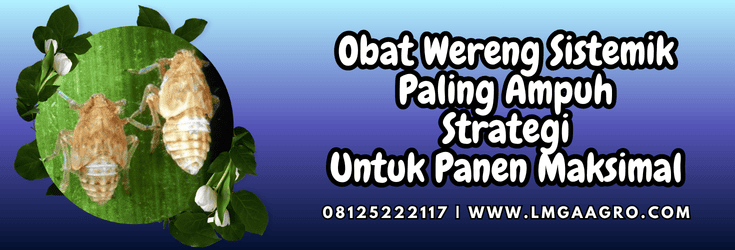 obat wereng sistemik paling ampuh,obat,wereng,sistemik,lmga agro
