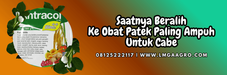 jual,murah,terjangkau,toko pertanian terdekat,lmga agro
