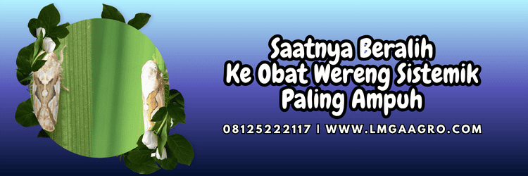 jual,murah,terjangkau,toko pertanian terdekat,lmga agro