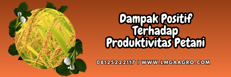 dampak,positif,produktivitas,petani,lmga agro