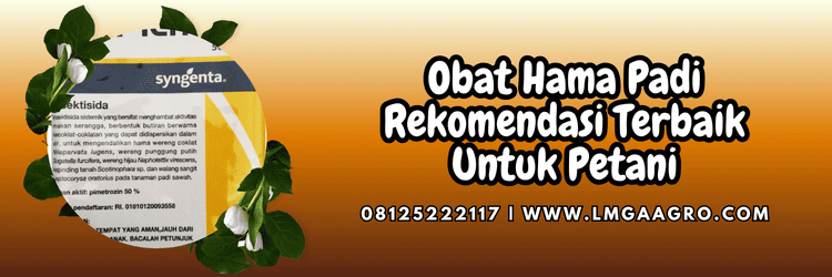 pestisida,insektisida,pestisida jenis insektisida,hama,lmga agro