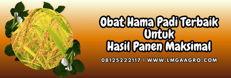 obat hama padi,obat,hama,padi,lmga agro