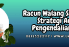 racun walang sangit padi,racun,walang sangit,padi,lmga agro
