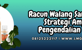 racun walang sangit padi,racun,walang sangit,padi,lmga agro