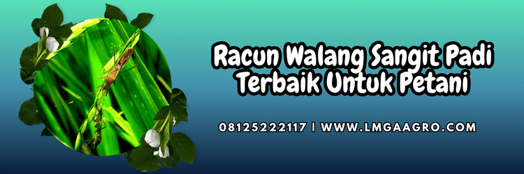 pestisida,insektisida,pestisida jenis insektisida,petani,lmga agro