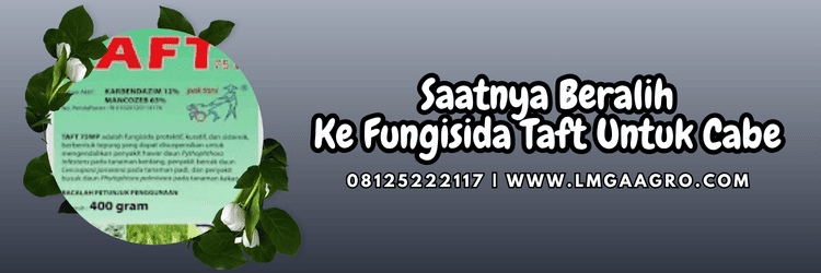 jual,murah,terjangkau,toko pertanian terdekat,lmga agro
