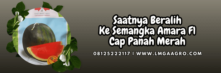 jual,murah,terjangkau,toko pertanian terdekat,lmga agro