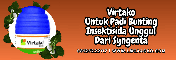 virtako untuk padi bunting,virtako,virtako 500 sc,padi,bunting,lmga agro