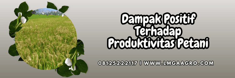 dampak,positif,dampak positif,produktivitas,petani,lmga agro