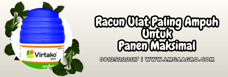 racun ulat paling ampuh,racun,ulat,insektisida,lmga agro