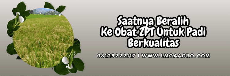 jual,murah,terjangkau,toko pertanian terdekat,lmga agro
