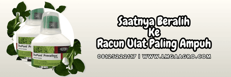 jual,murah,terjangkau,toko pertanian terdekat,lmga agro