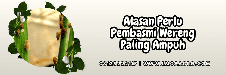 alasan,perlu,produk,pestisida jenis insektisida,lmga agro