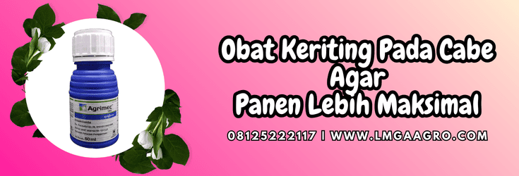 obat keriting pada cabe,obat,keriting,cabe,lmga agro