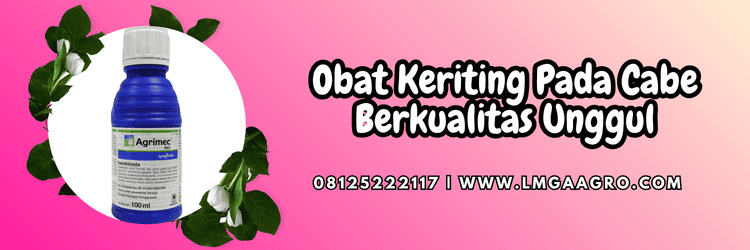pestisida,keriting cabai,obat keriting cabe,obat cabe keriting,lmga agro