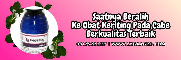 jual,murah,terjangkau,toko pertanian terdekat,lmga agro