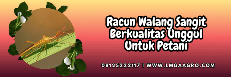 racun walang sangit,racun,walang sangit,pestisida,lmga agro